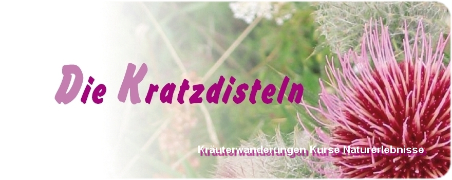 Das Logo der Kratzdisteln