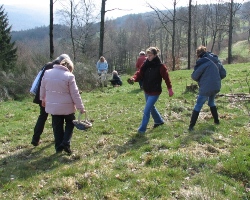 Die Teilnehmer sammeln Kr&auml;uter auf der Wiese