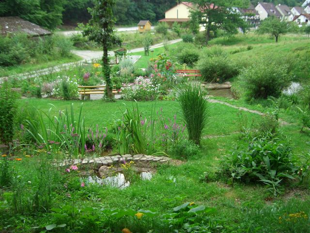 Gesamtansicht des Kräutergartens mit kleinem Teich im Vordergrund