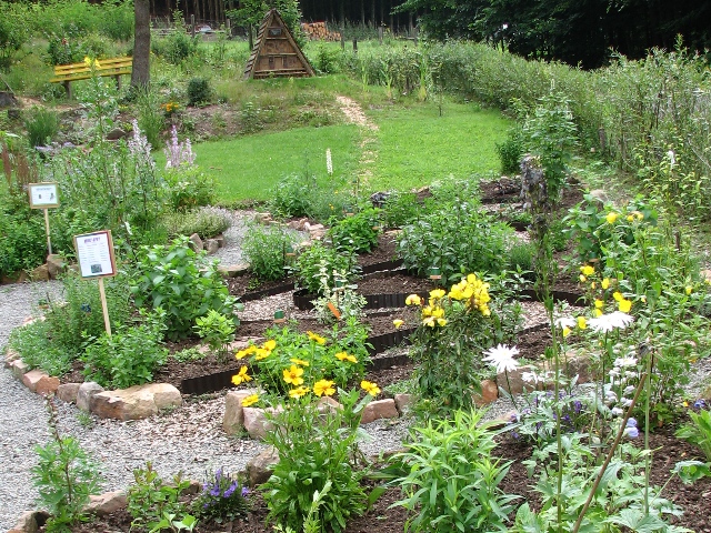 Der Minzen-Pfad im Kräutergarten