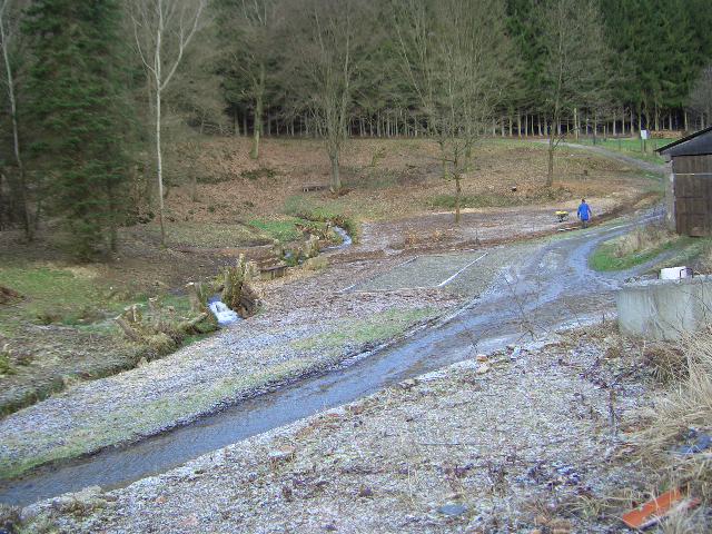 Der Kräutergarten in der Gesamtansicht