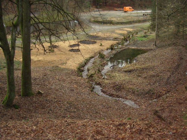 Gesamtansicht des Kräutergartens von oben