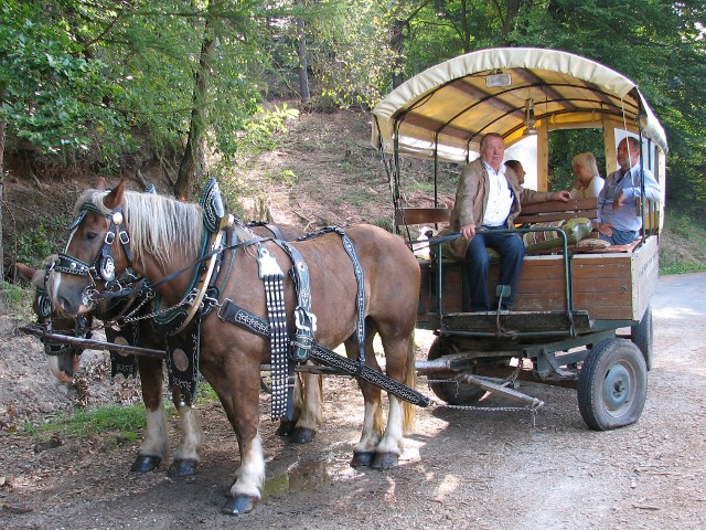 Kutschfahrt mit dem Frammersbacher Fuhrmann