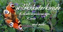 Hier gehts zur Webpr&auml;sents von www.wildkraeuterkunde.de